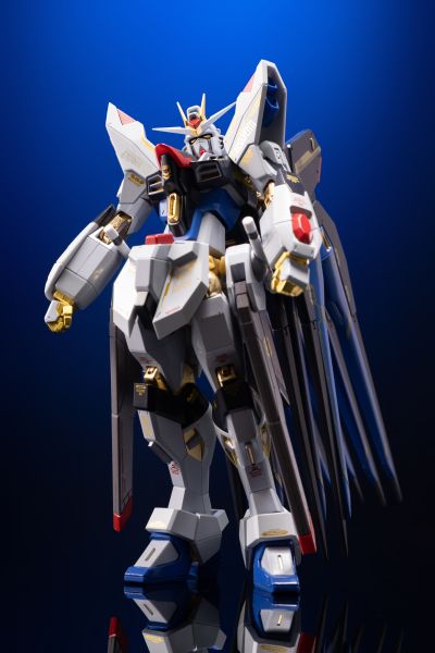 METAL ROBOT魂＜机动战士系列＞  强袭自由高达  SEED20周年纪念版