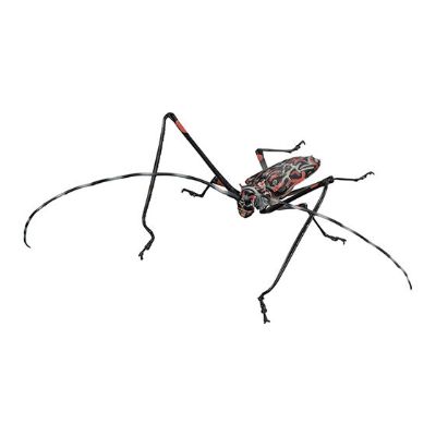 进化生物大图鉴 天牛