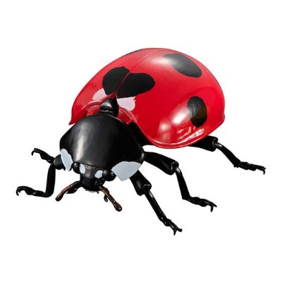 进化生物大图鉴 瓢虫