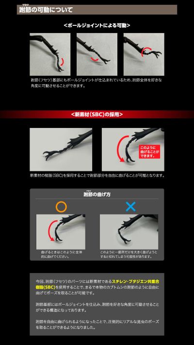 高级生物大图鉴 长戟大兜虫