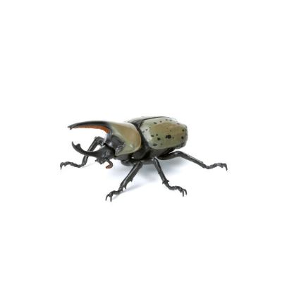 生物大图鉴 迷你系列 昆虫03