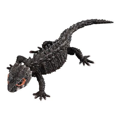 进化生物大图鉴 红眼鹰蜥 与 黑眼鹰蜥