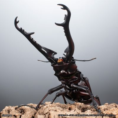 高级生物大图鉴 长颈鹿锯锹