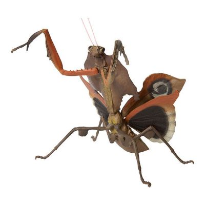 生物大图鉴 迷你系列 昆虫02