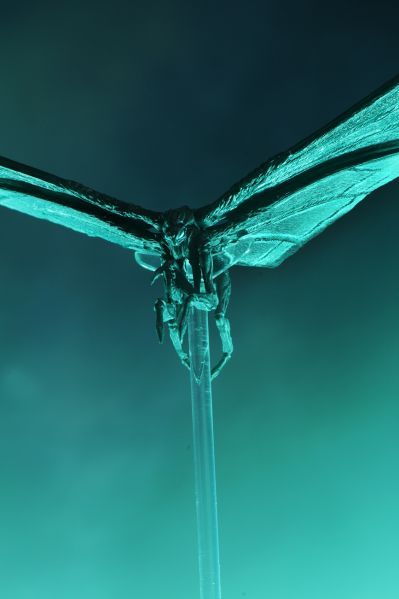 哥斯拉2：怪兽之王 摩斯拉（2019）海报版 可动模型