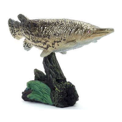 生物大图鉴 迷你系列 古代鱼