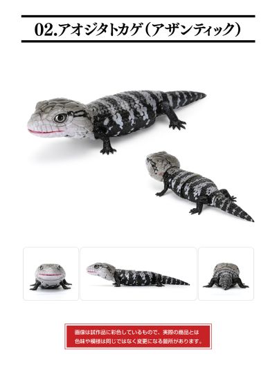 爬行生物大图鉴 蓝舌蜥 与 肥尾壁虎