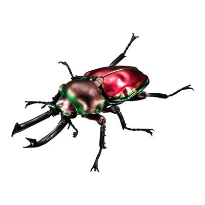 进化生物大图鉴 彩虹锹甲