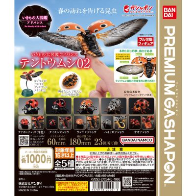 进化生物大图鉴 瓢虫 2