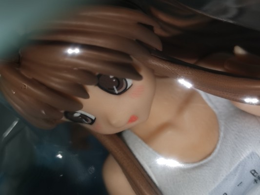 月は东に日は西に 藤枝保奈美 白スク水Ver.