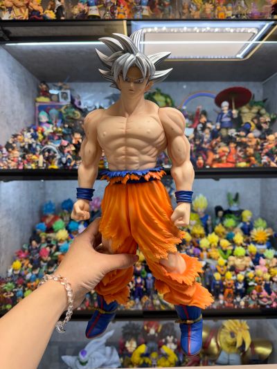 巨型系列  龙珠超 孙悟空 自在极意功