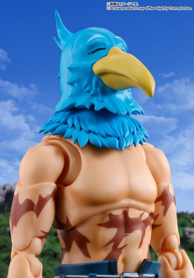 S.H.Figuarts 香格里拉边境 SUN乐（阳乐）