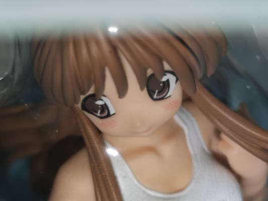 月は东に日は西に 藤枝保奈美 白スク水Ver.