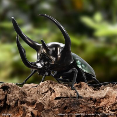 生物大图鉴 甲虫 6