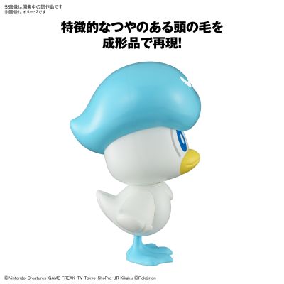 宝可梦拼装模型系列 快快拼！！19 润水鸭