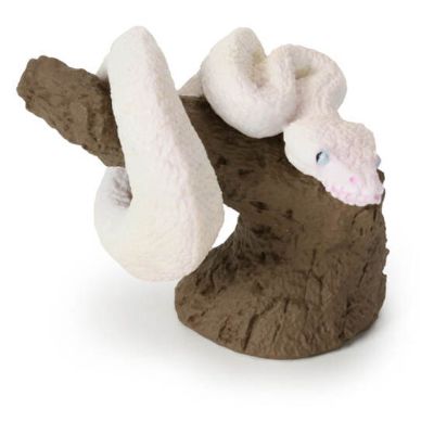 生物大图鉴 卷手指系列 犰狳蜥 与 球蟒