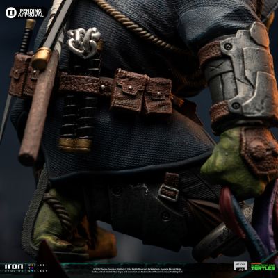 忍者神龟 最后的浪人