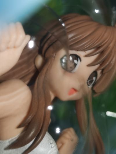 月は东に日は西に 藤枝保奈美 白スク水Ver.