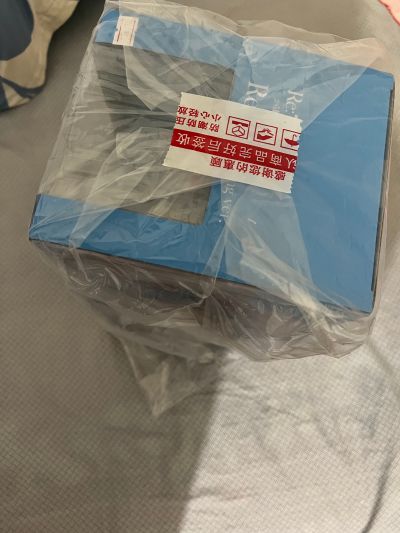 Re：从零开始的异世界生活 蕾姆 婚纱