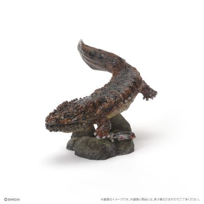 生物大图鉴 迷你系列 两栖类