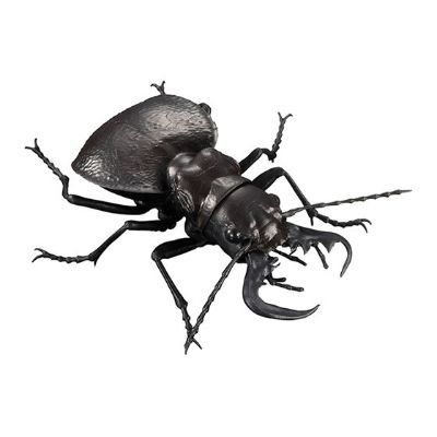 生物大图鉴 锹甲 5