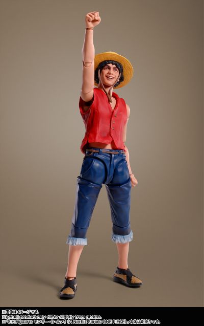 S.H.Figuarts 网飞真人剧集 航海王 奈美