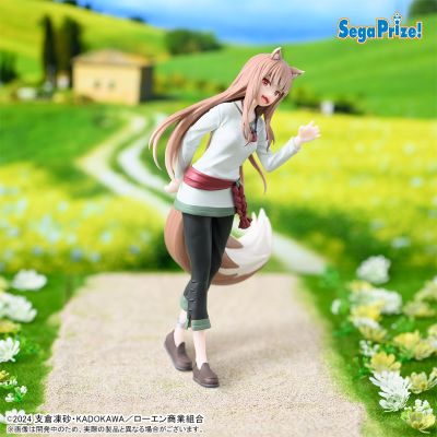 狼与香辛料 MERCHANT MEETS THE WISE WOLF　Desktop×Decorate Collections　“赫萝”