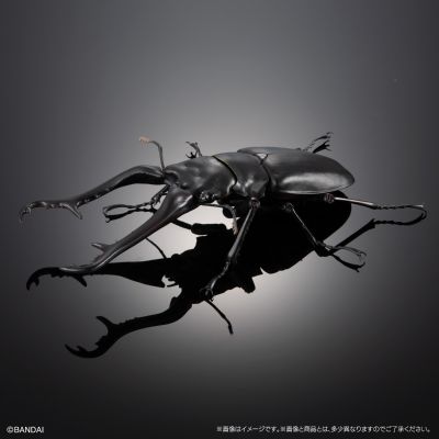 高级生物大图鉴 长颈鹿锯锹