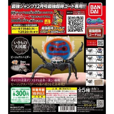 生物大图鉴 孔雀蜘蛛