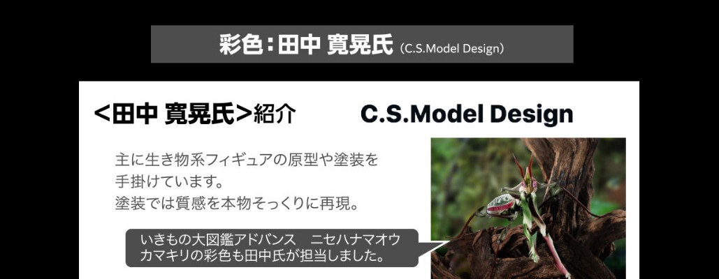 高级生物大图鉴 长戟大兜虫