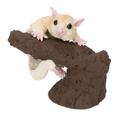 生物大图鉴 卷手指系列 小动物