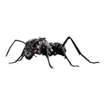 生物大图鉴 蚂蚁