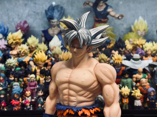 巨型系列  龙珠超 孙悟空 自在极意功