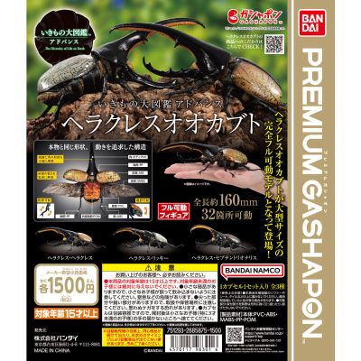 进化生物大图鉴 长戟大兜虫