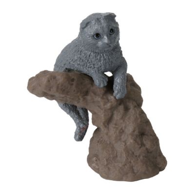 生物大图鉴 卷手指系列 猫