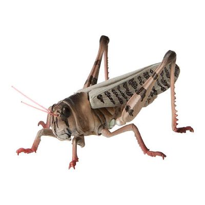 生物大图鉴 迷你系列 昆虫02