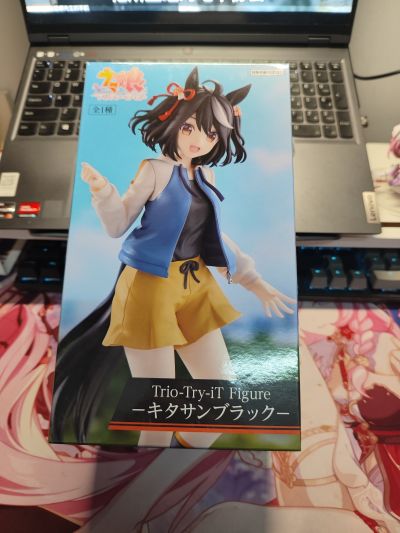 Trio-Try-iT  赛马娘 闪耀！优俊少女  北部玄驹