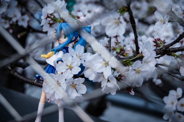 Extra Figure 幸运星 泉此方 Summer School Uniform Ver. 