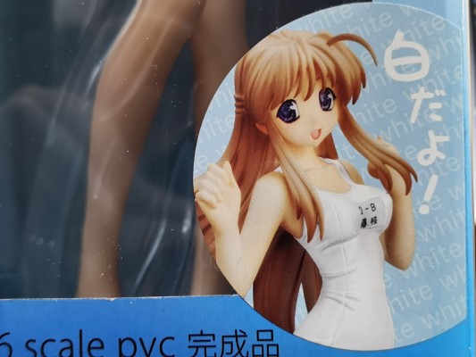 月は东に日は西に 藤枝保奈美 白スク水Ver.