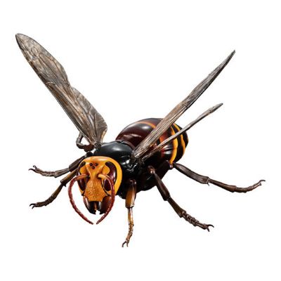 进化生物大图鉴 胡蜂亚种