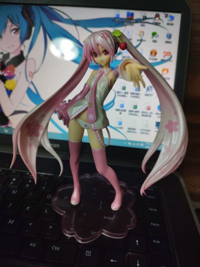 VOCALOID 初音未来 樱花未来