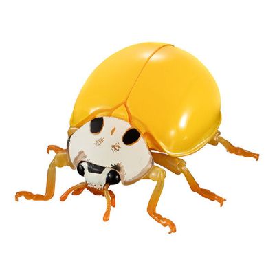 进化生物大图鉴 瓢虫