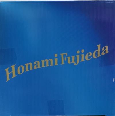 月は东に日は西に 藤枝保奈美 白スク水Ver.