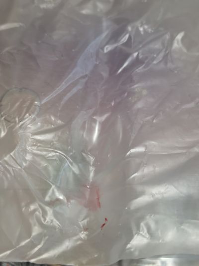 ROBOTICS；NOTES(ロボティクス・ノーツ) 濑乃宫秋穗 猫耳もーどVer.