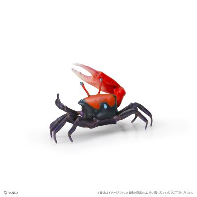 生物大图鉴 迷你系列 甲壳类