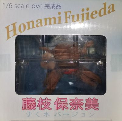 月は东に日は西に 藤枝保奈美 白スク水Ver.