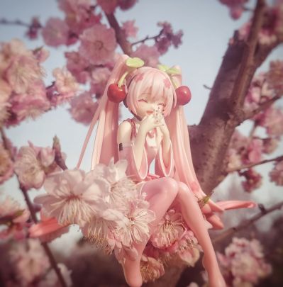 压泡面 初音未来系列 樱花未来2023 微笑款