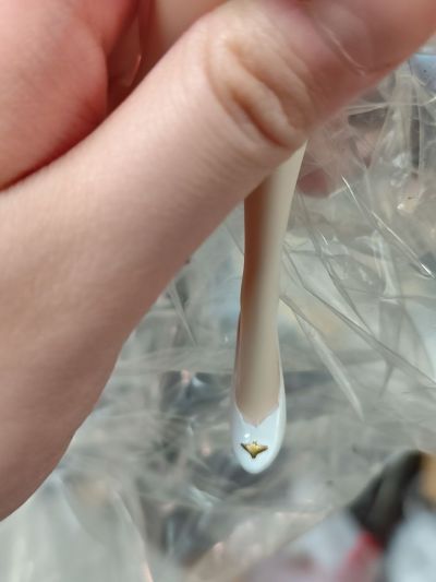 战舰少女R 昆西 五月花的约定