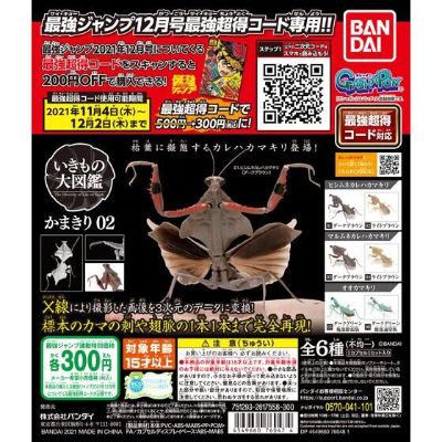 生物大图鉴 螳螂2