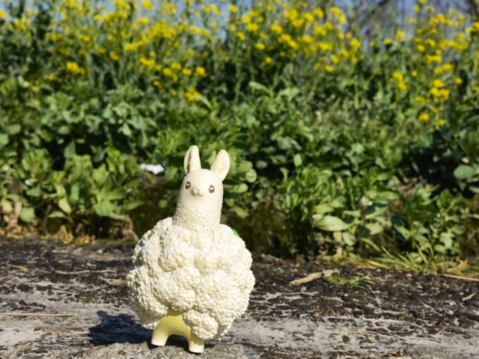 果物精灵 花菜羊驼